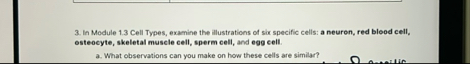 In Module 1 . 3 Cell Types, examine the