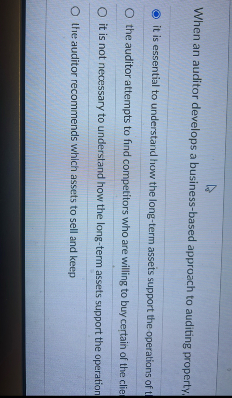When an auditor develops a business - based