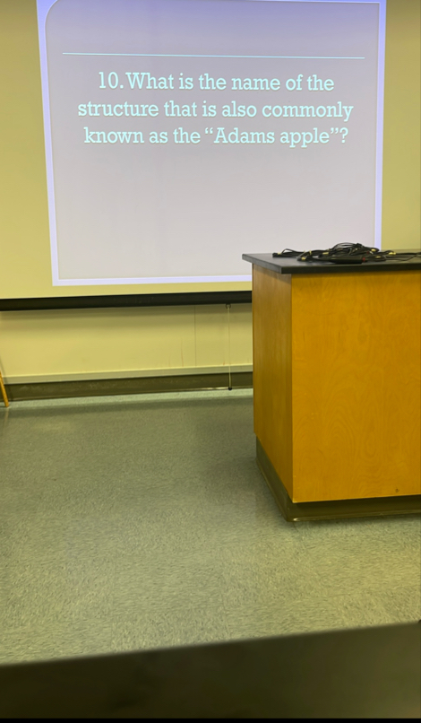 What is the name of the structure that is also