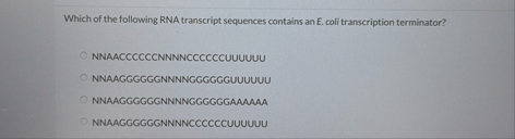 Which of the following RNA transcript sequences