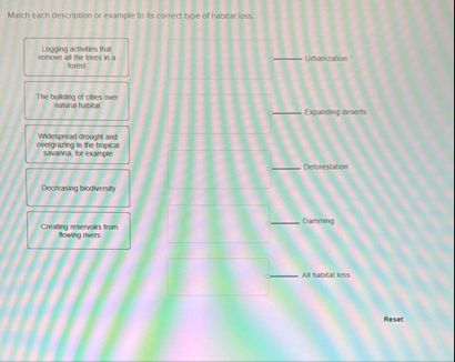Match each description or example to is correct