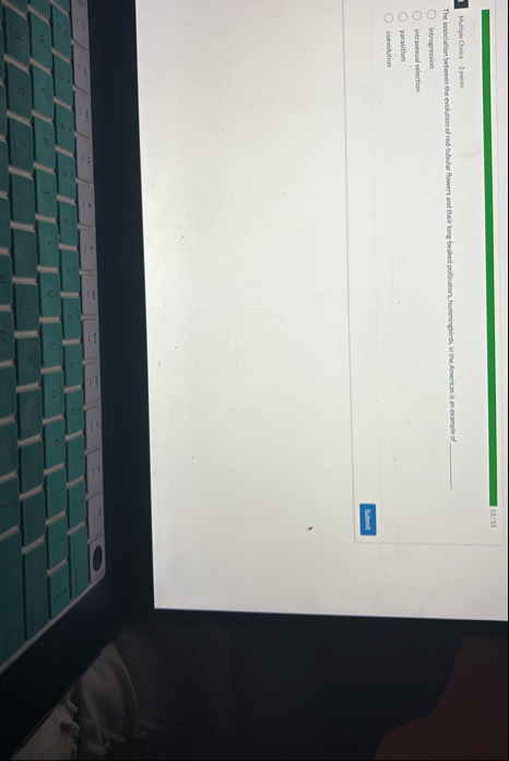 1 3 / 1 3 Multiple Cheice 2 points The