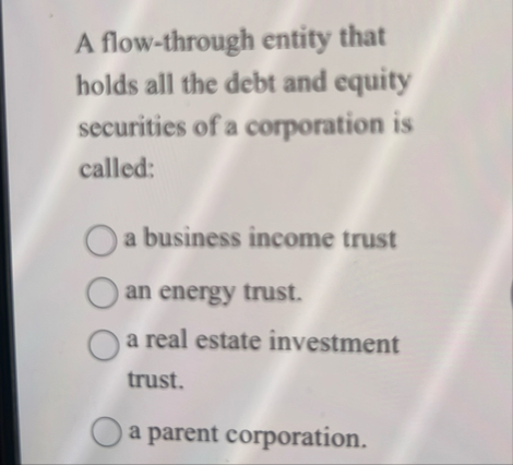 A flow - through entity that holds all the debt