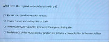 What does the regulatory protein troponin do ?