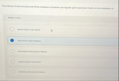 The trithorix ( TraG ) and polycomb ( PcCl