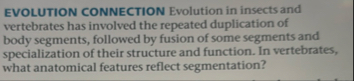 EVOLUTION CONNECTION Evolution in insects and