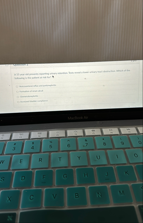 A 5 5 year old presents reporting urinary