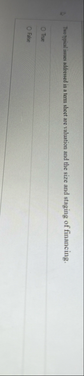 Two typical isues addressed in a term shect are