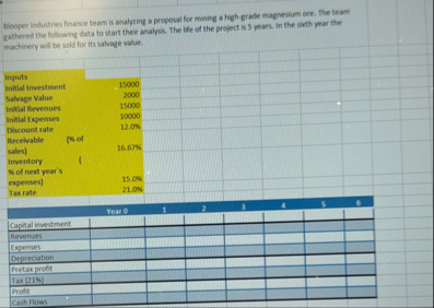 Blooper induatries finance team is anslaing a