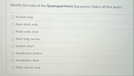 Identify the traits of the Quadruped Pelvis ( top