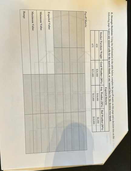 E . Strategic Decisions: Using the information in