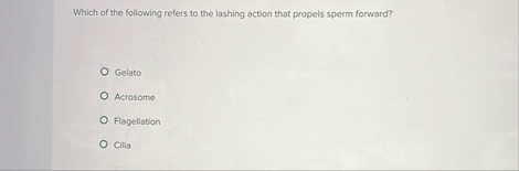 Which of the following refers to the lashing
