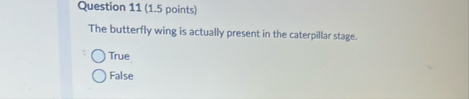 Question 1 1 ( 1 . 5 points ) The butterfly wing