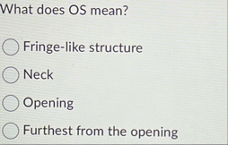 What does OS mean? Fringe - like structure Neck