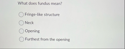What does fundus mean? Fringe - like structure