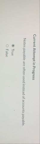 Current Attempt in Progress Notes payable are