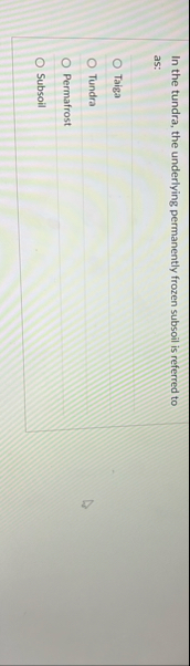 In the tundra, the underlying permanently frozen