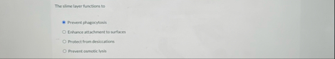The slime layer functions Do Prevent phugocytoris