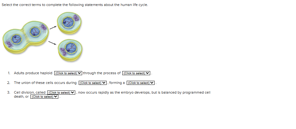 ANSWER Select the correct terms to complete the