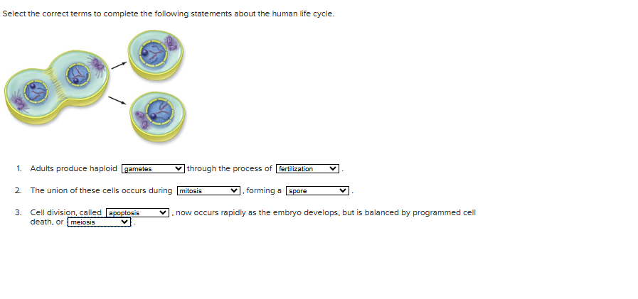 ANSWER Select the correct temms to complete the