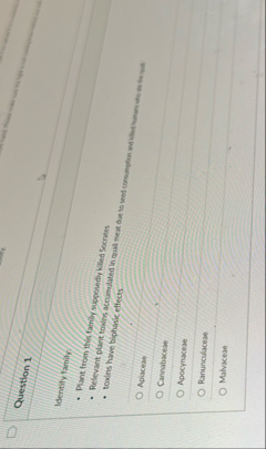 Question 1 Identify family. Plant from thie