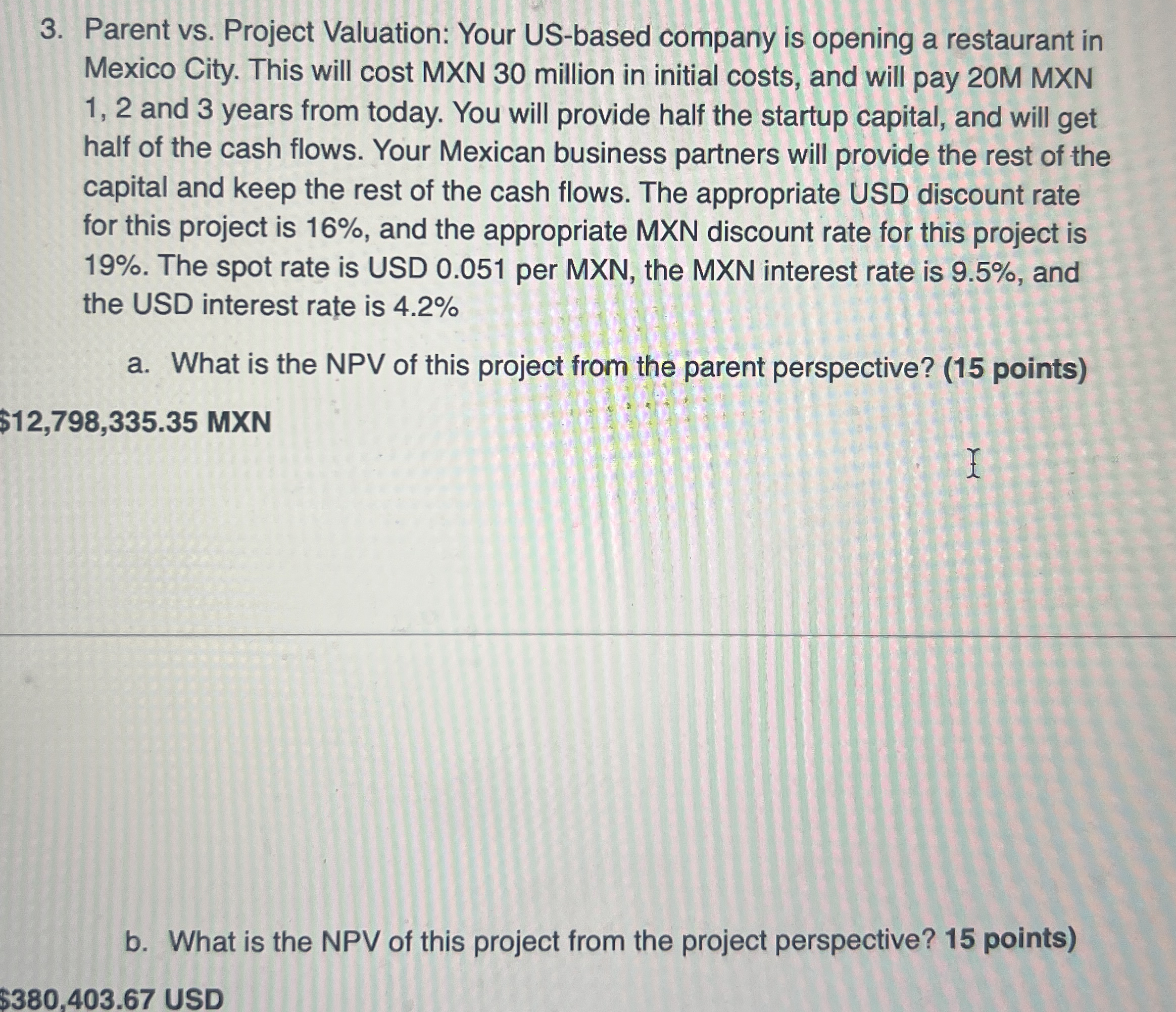 Parent vs . Project Valuation: Your US - based