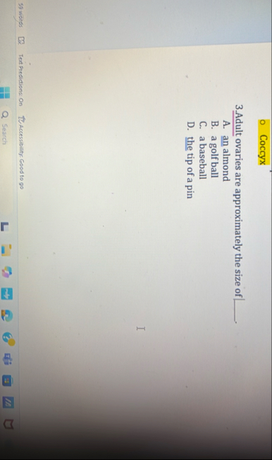 Coccyx 3 . Adult ovaries are approximately the