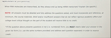 When KNA molecules are transcribed, do they