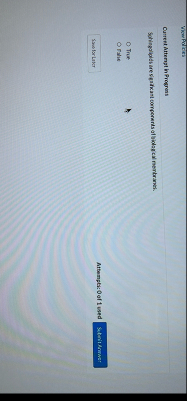 View Policies Current Attempt in Progress