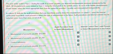 The year under audit is Year 2 . During the audit