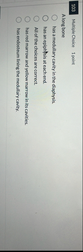 1 0 3 Multiple Choice 1 point Along bone has a