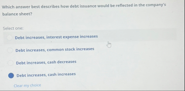Which answer best describes how debt issuance