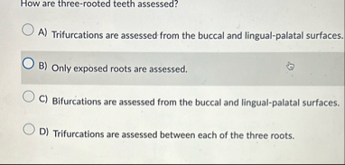 How are three - rooted teeth assessed? A )