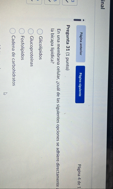 inal P gina 4 de 1 Pregunta 3 1 ( 1 punto ) En