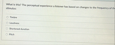 What is this? The perceptual experience a