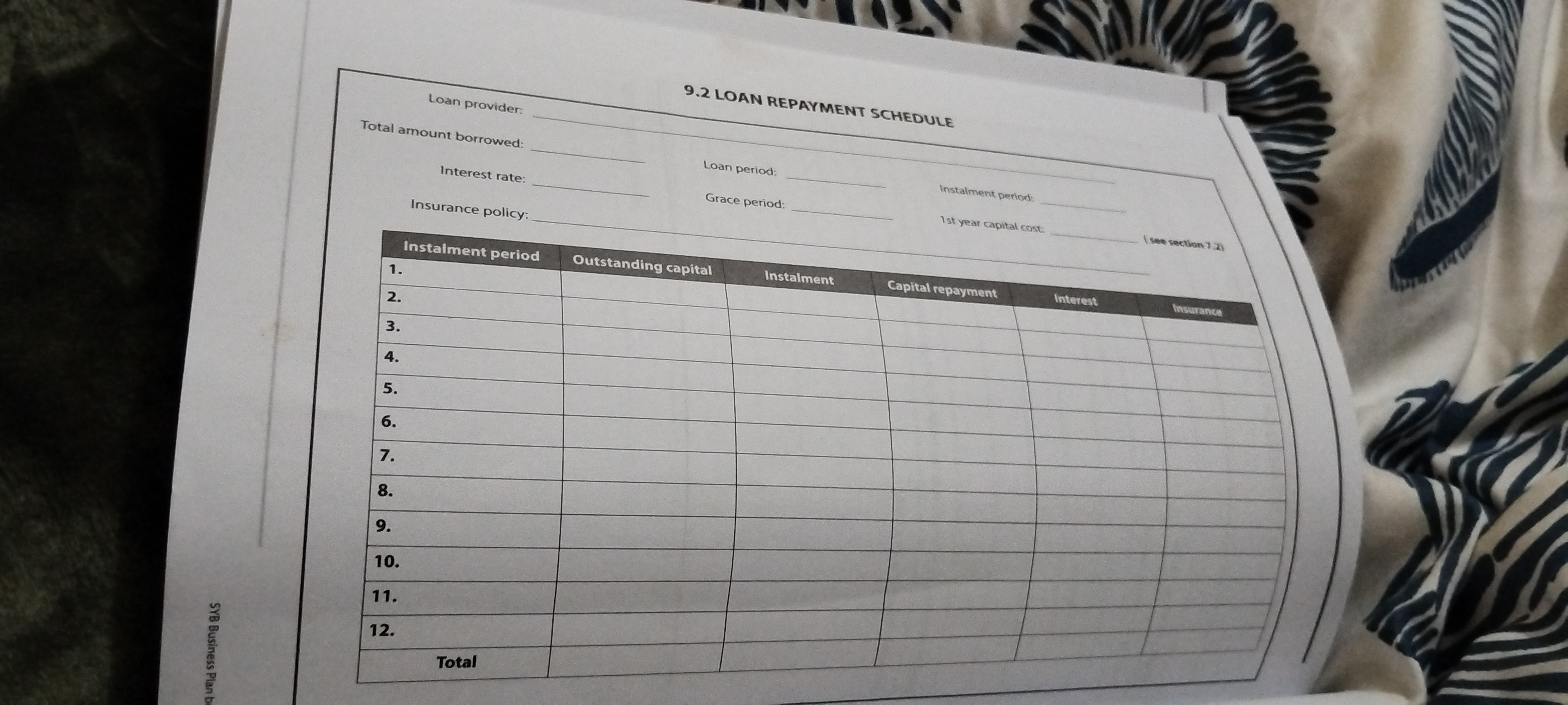 9 . 2 LOAN REPAYMENT SCHEDULE Total amount
