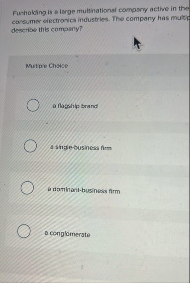 Funholding is a large multinational company