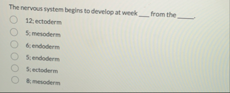 The nervous system begins to develop at week from