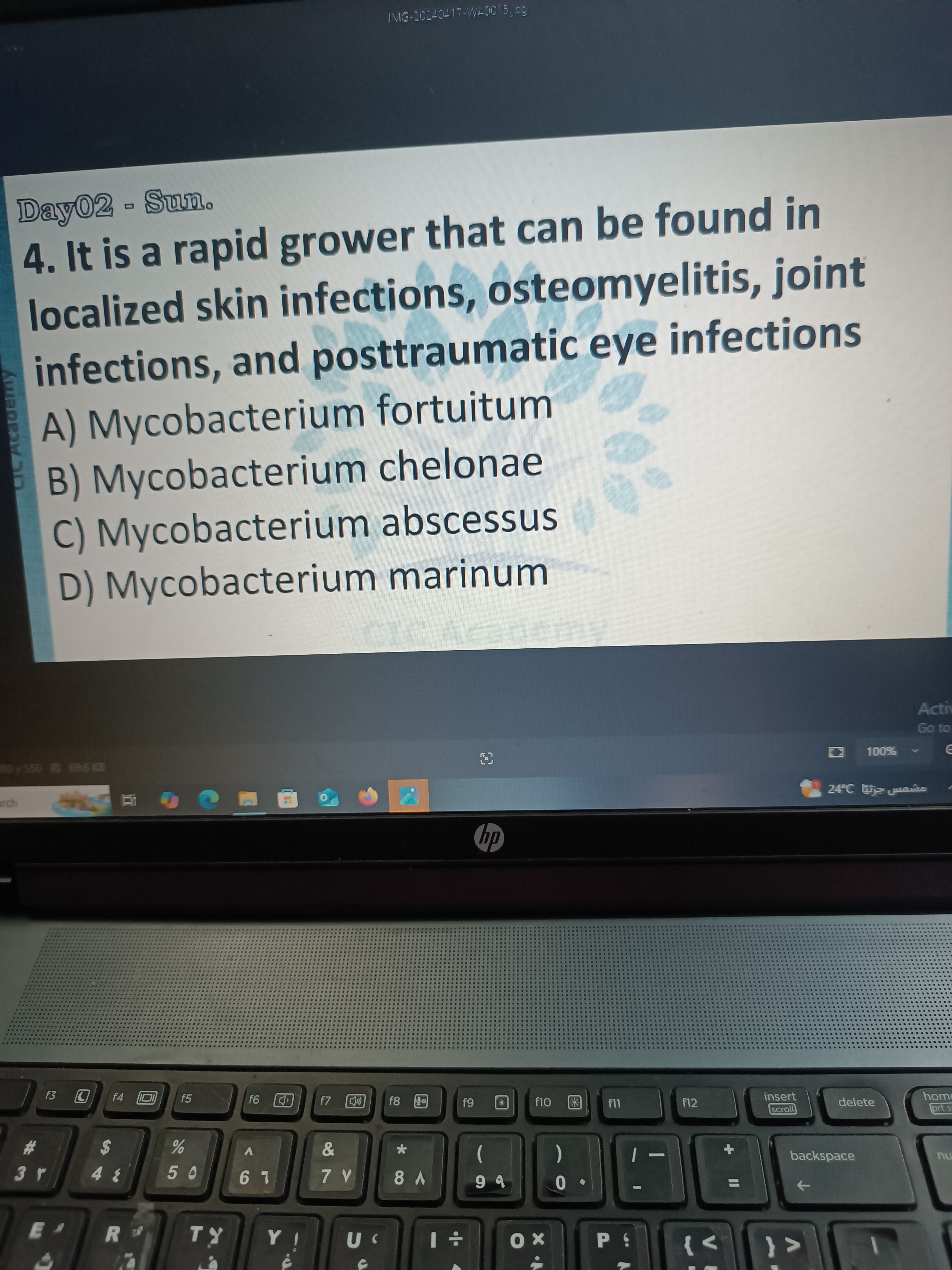 D yO 2 - Sum. 4 . It is a rapid grower that can