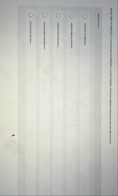 Raleigh BBO has $ 4 8 , 0 0 0 in current assets