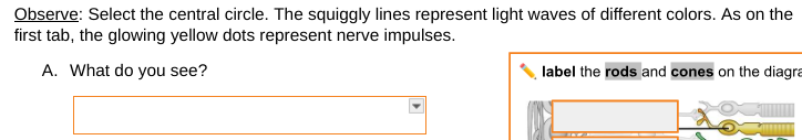 what does this question mean Observe: Select the