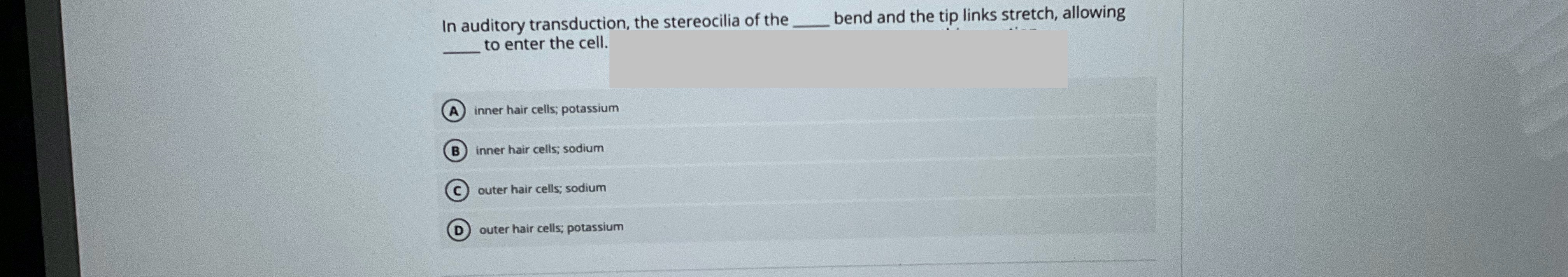 Answer In auditory transduction, the stereocilia