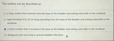 The urethra can be described as: a long conduit