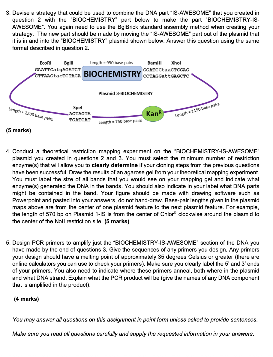 1. Look at the cut DNA sequences shown below in