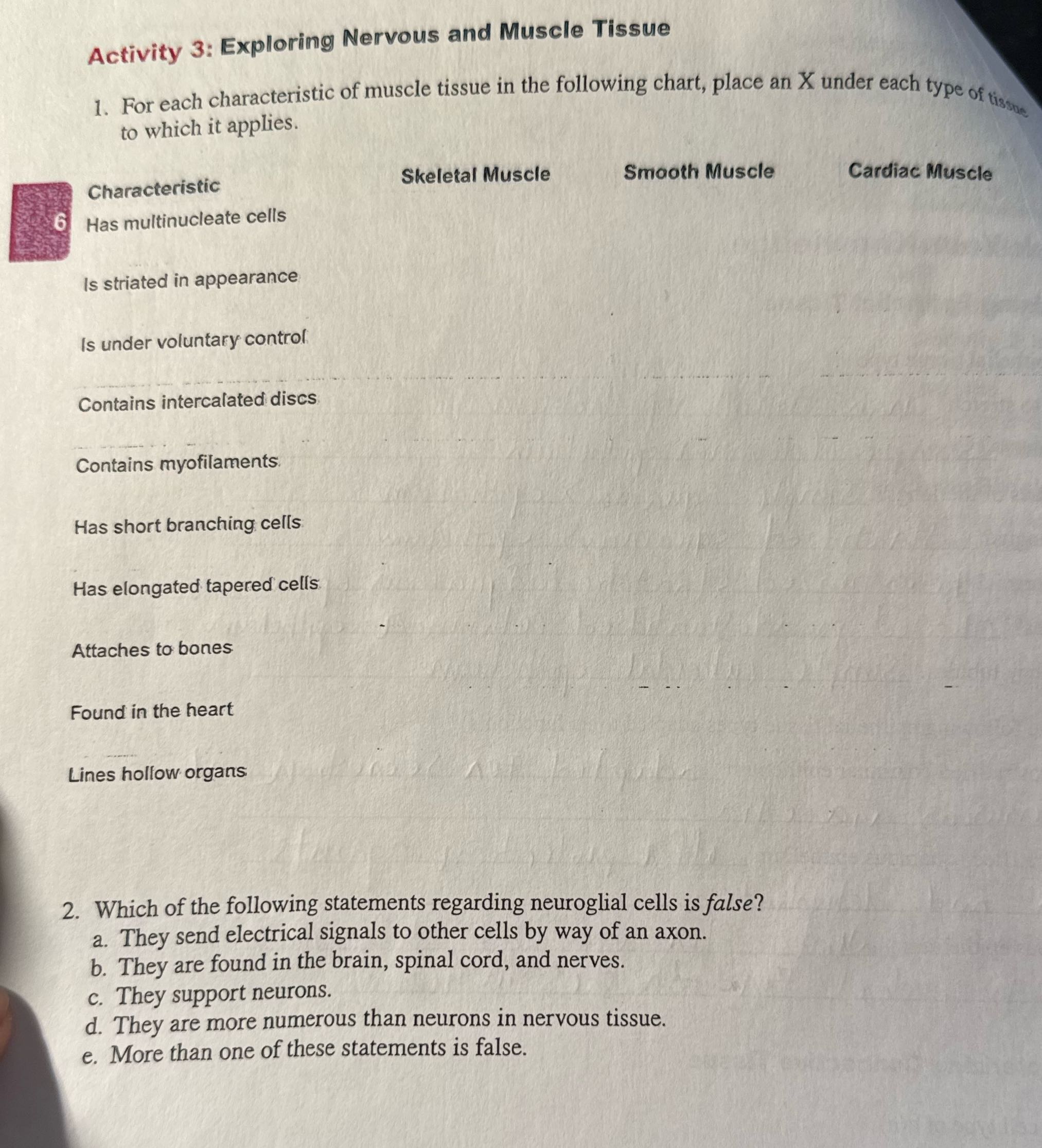 help Activity 3: Exploring Nervous and Muscle