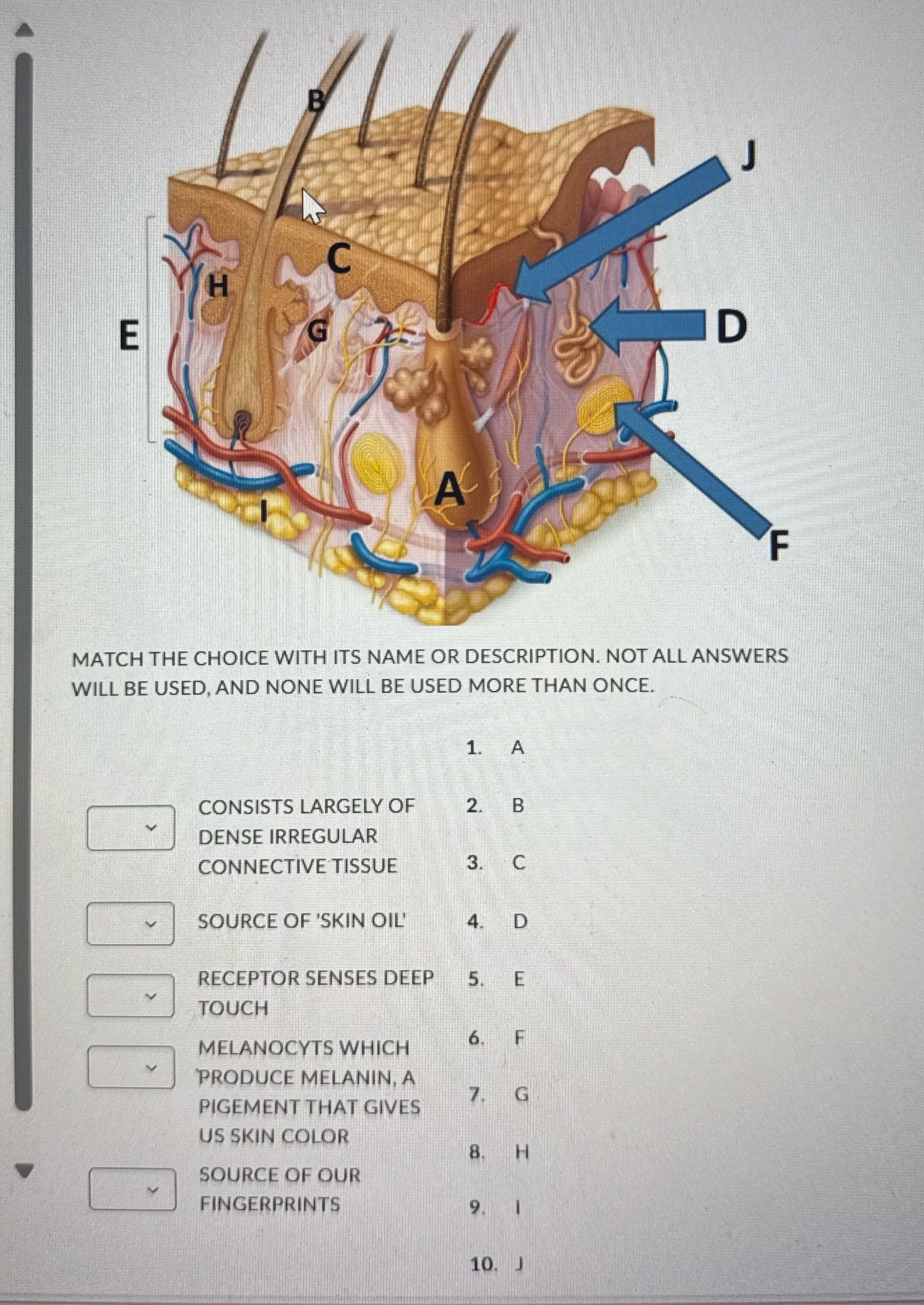 B C E D A MATCH THE CHOICE WITH ITS NAME OR