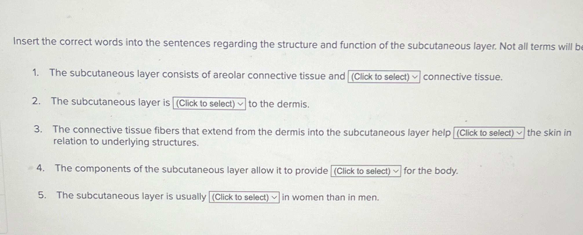 Insert the correct words into the sentences