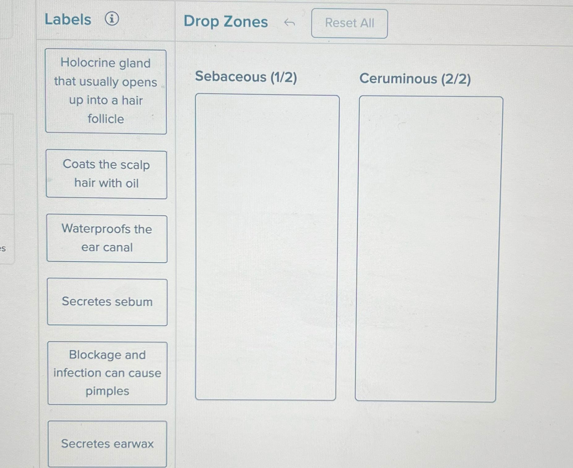 Labels Drop Zones Reset All Holocrine gland that