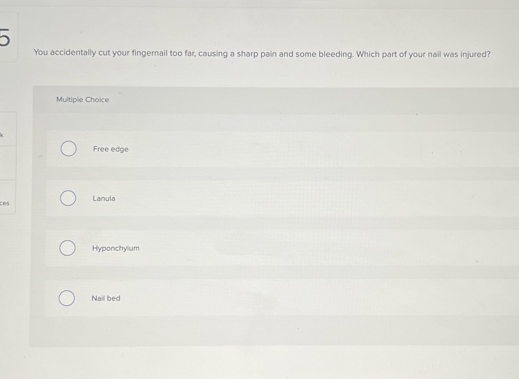 You accidentally cut your fingernail too far,