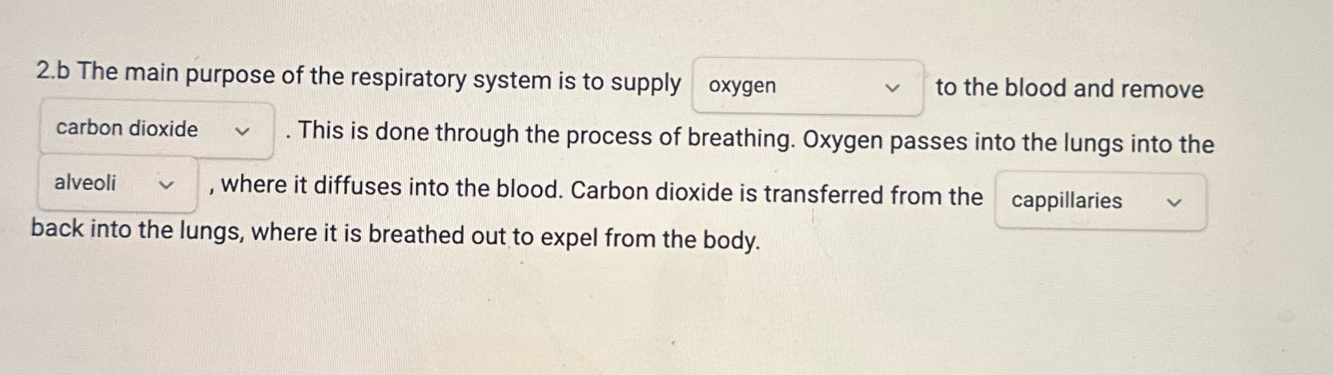 2.b The main purpose of the respiratory system is